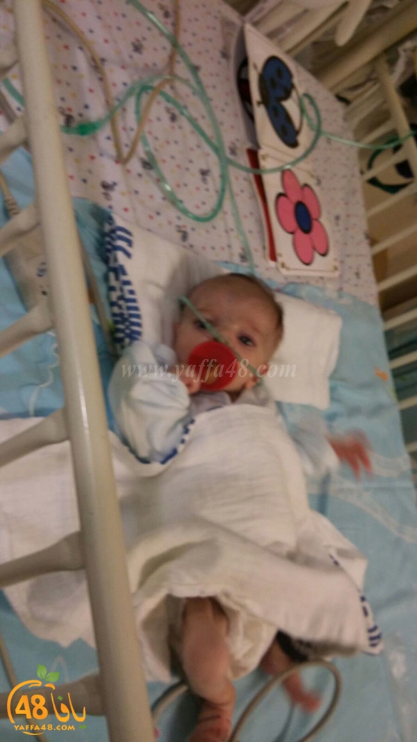 wafd atfaaal (19).jpg